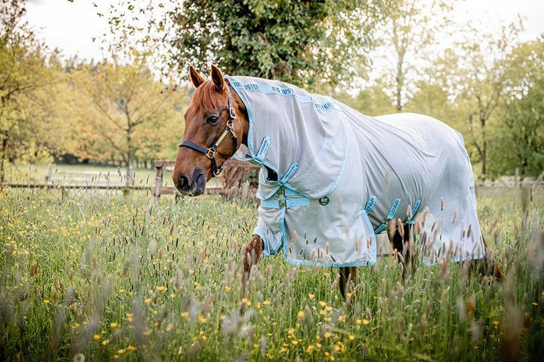 Couverture anti-mouches Amigo Ameco Bug buster - Horseware