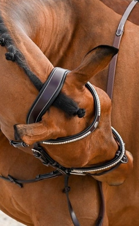 Bridon Clincher Noisette doublé noir, Collection one - Jump'in