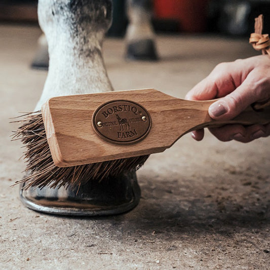 Brosse à sabot " Islandaise " - Borstiq