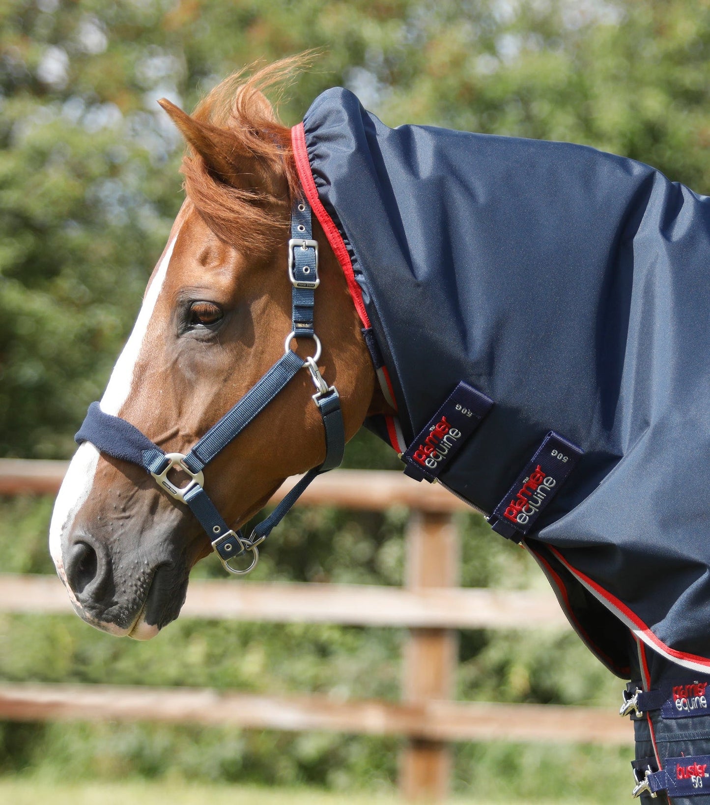 Couverture imperméable, Buster 50gr avec cou amovible - Premier Equine