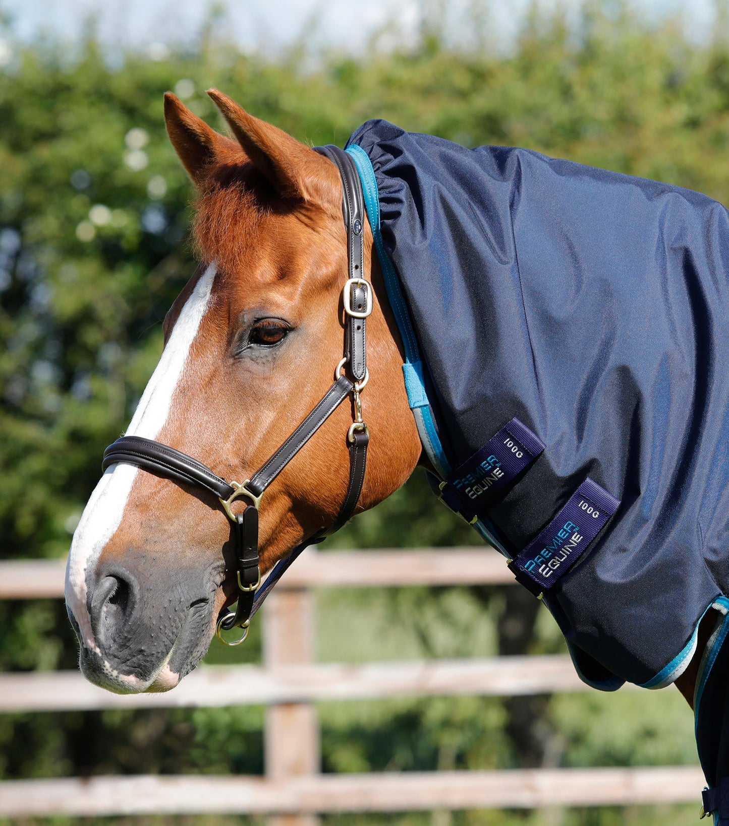 Couverture imperméable, Buster Storm 100gr avec cou - Premier Equine