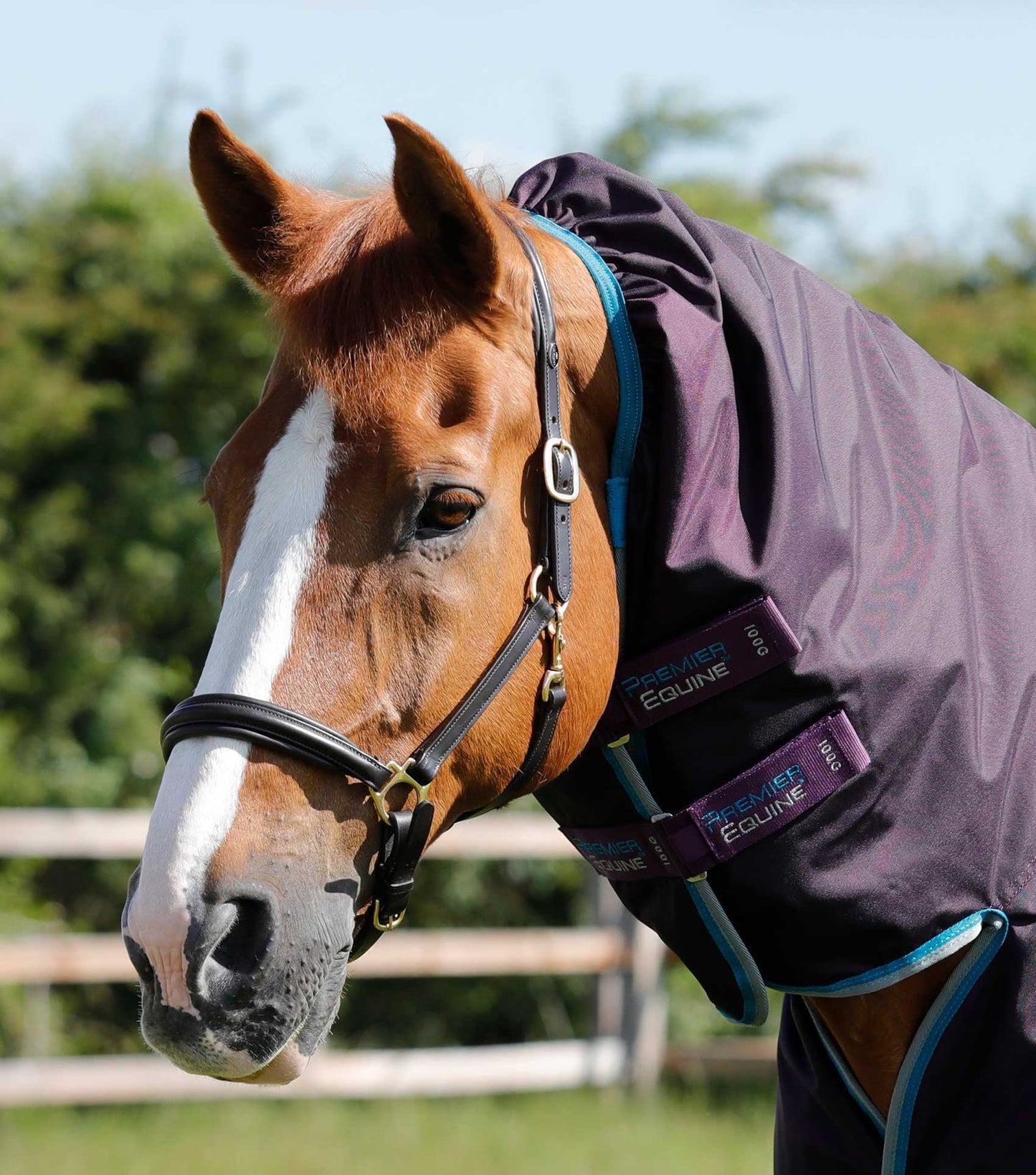 Couverture imperméable, Buster Storm 100gr avec cou - Premier Equine