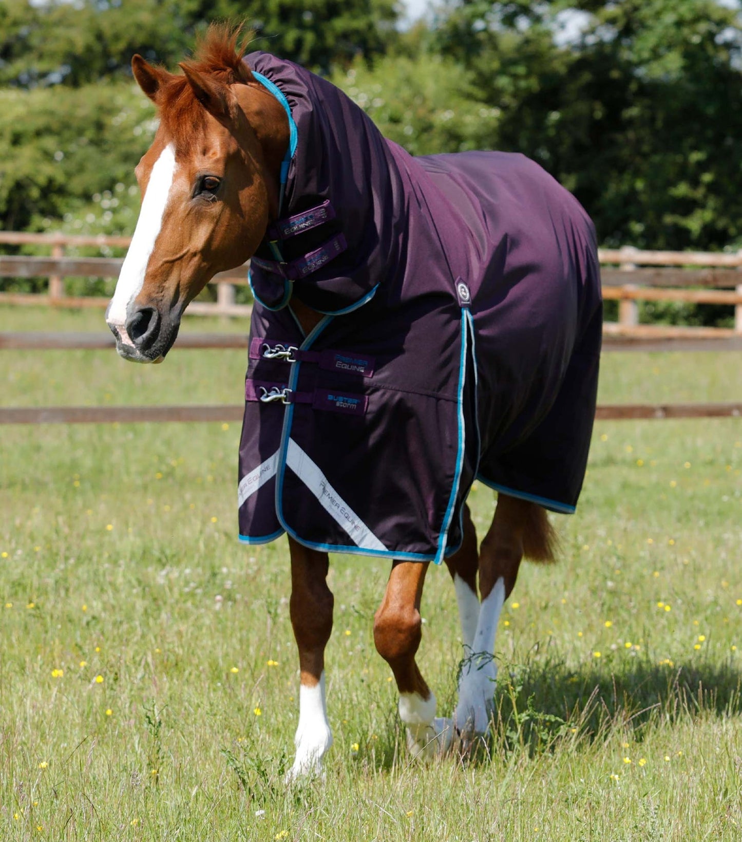 Couverture imperméable, Buster Storm 100gr avec cou - Premier Equine