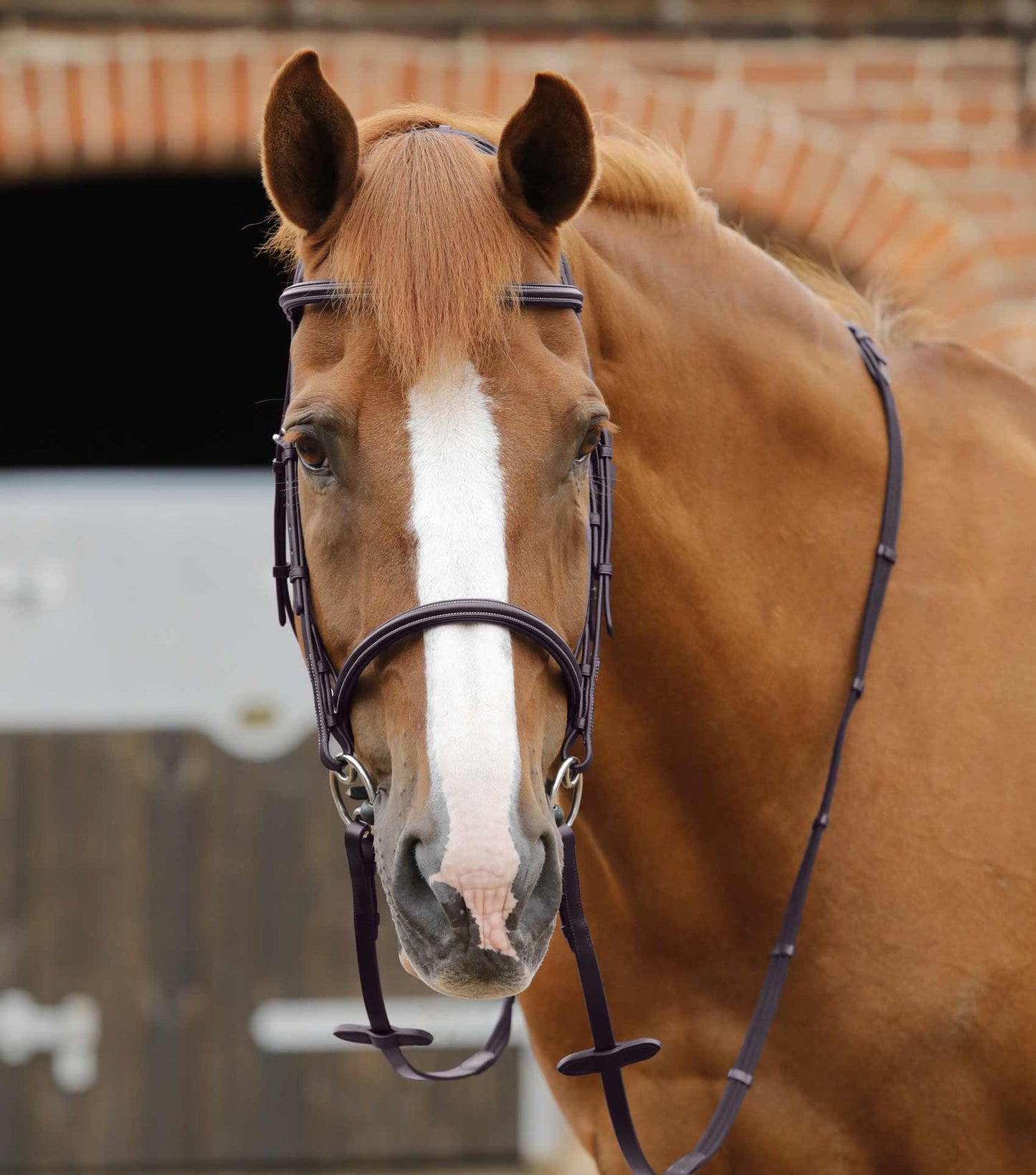 Leonardo Bridle Reins - Premier Equine