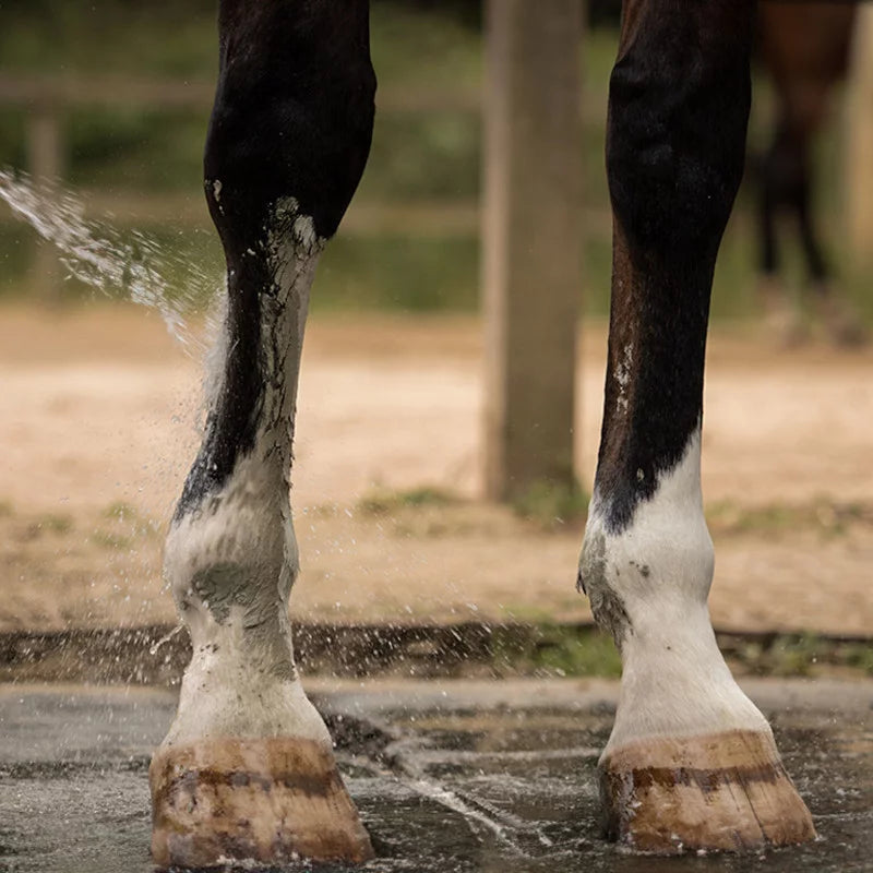 Cataplasme d'argile, Douleurs musculaires & articulaires Contenance - Nellumbo