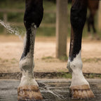 Cataplasme d'argile, Douleurs musculaires & articulaires Contenance - Nellumbo