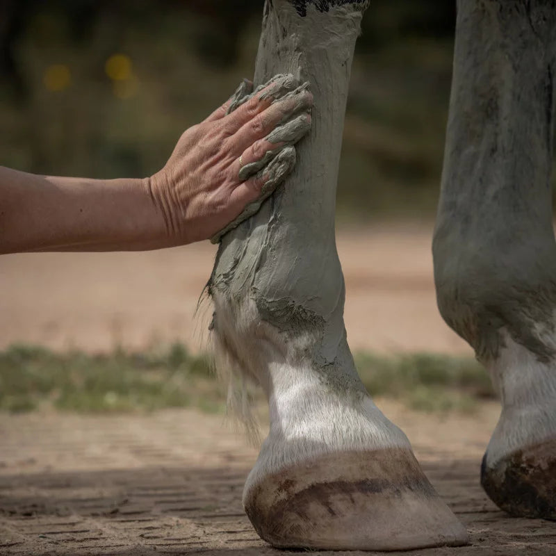 Cataplasme d'argile, Drainage & Détox Contenance - Nellumbo