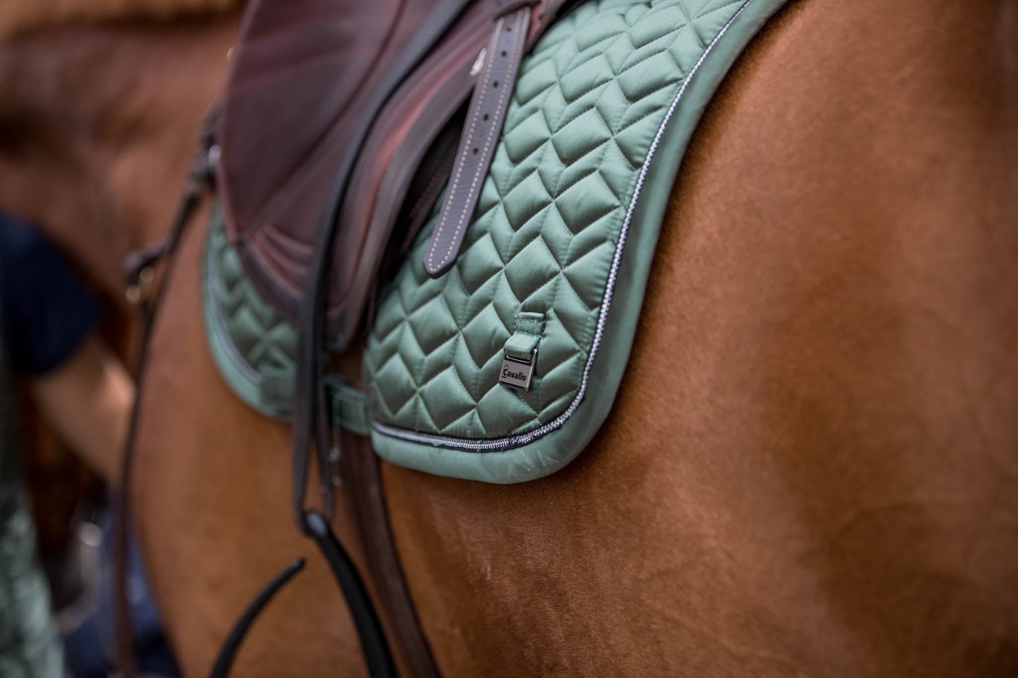 Tapis Cavalbamboo, english ivy - Cavallo SS24