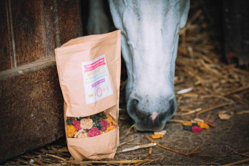 Crackers Cheval MIX 4 RECETTES 500GR - Happy Crackers