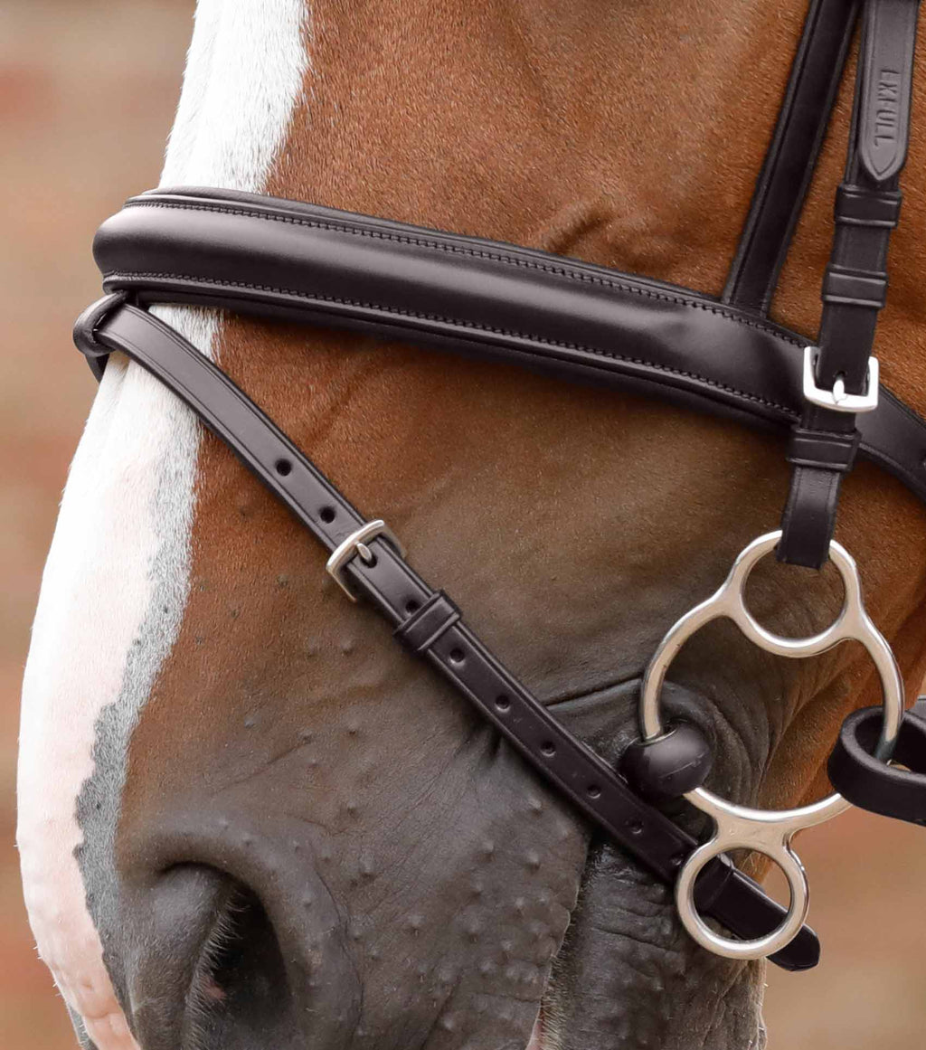 Bridon Delizioso - Premier equine