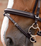 Bridon Delizioso - Premier equine