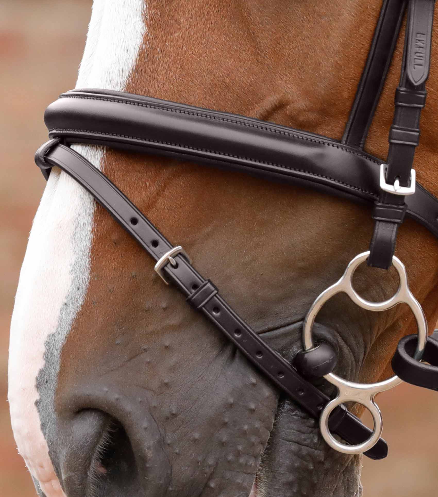 Lambro anatomischer Zaum - Premier Equine