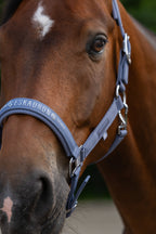 Licol Sparkle DP - Eskadron Classic SS26