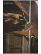 Happy wild immun, Sans Céréales - Happy Crackers