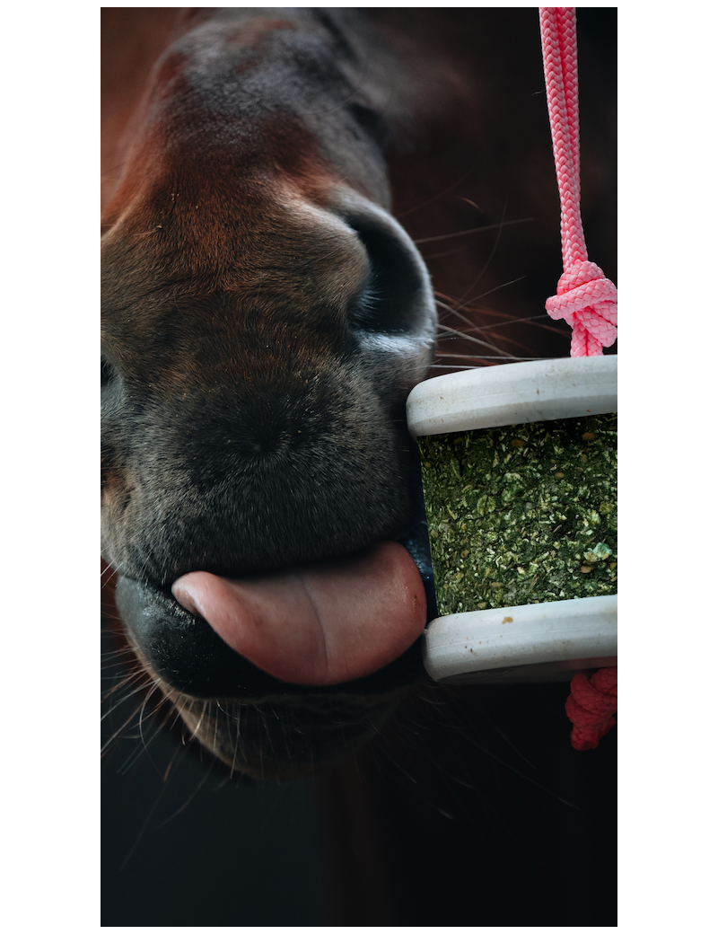 Happy wild Salts,  Sel de Guérande et minéraux naturels - Happy Crackers