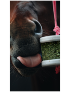 Happy wild Salts,  Sel de Guérande et minéraux naturels - Happy Crackers