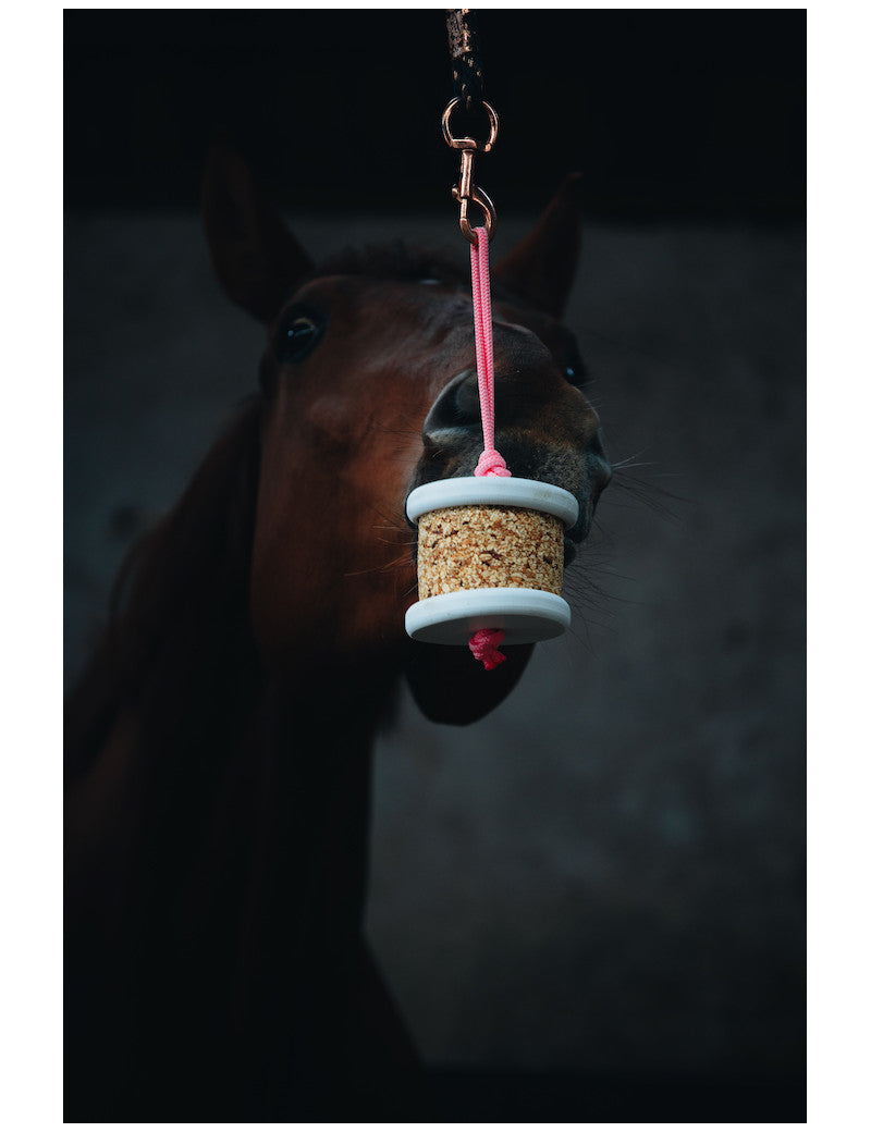 Happy wild Sweet, Pommes - bananes Bio - Happy Crackers