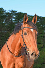 Bridon Liberty, Collection One -Jump'In