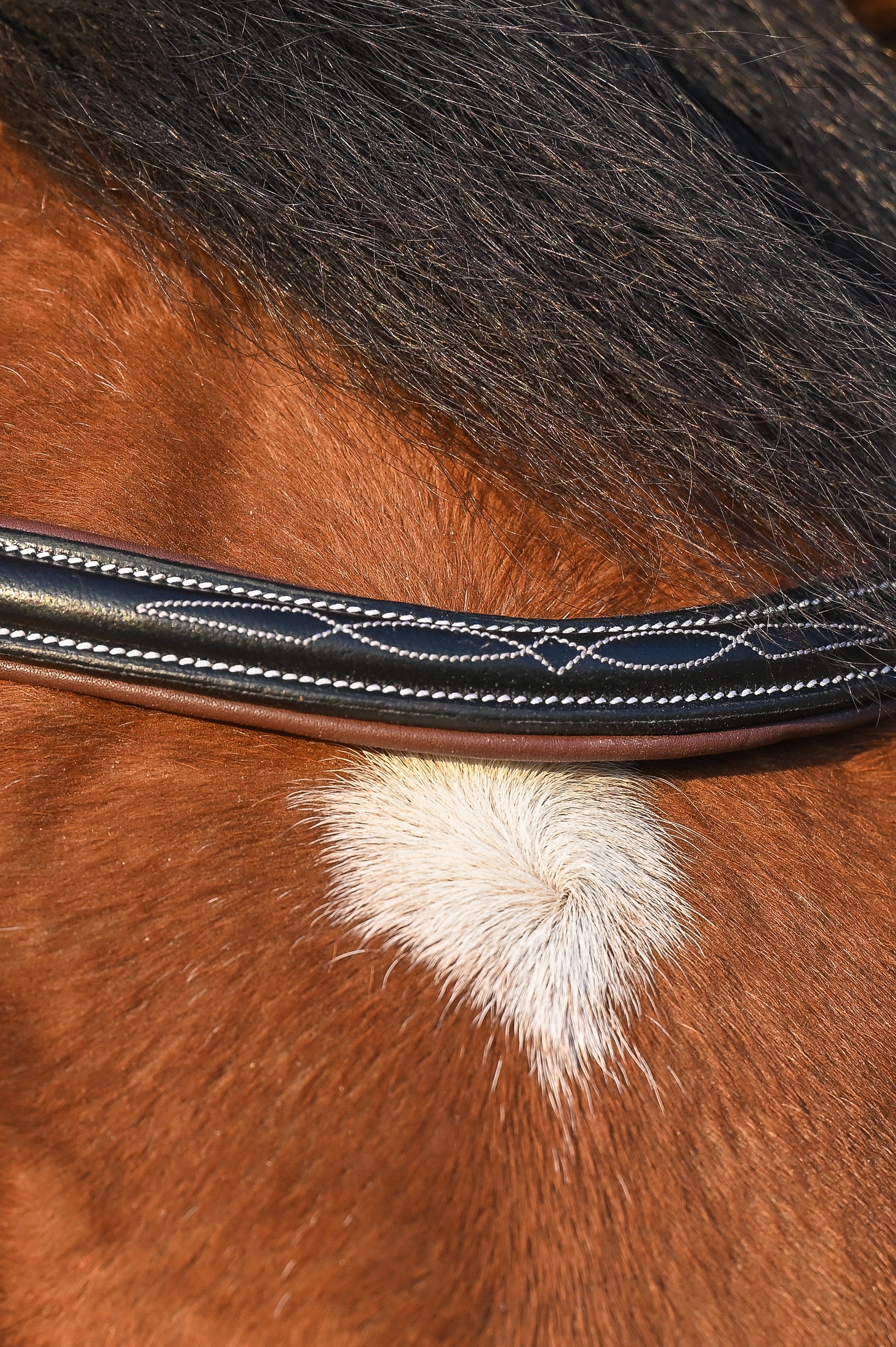 Brüsseler Zaum, Collection One -Jump'In