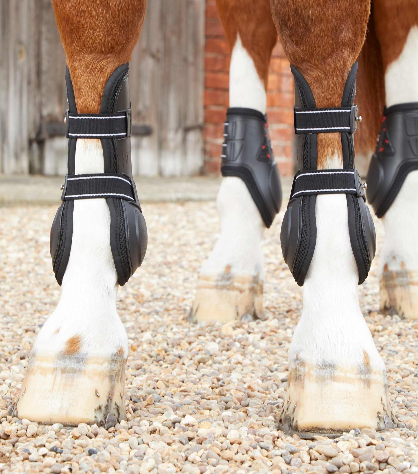 Guêtres Kevlar Airtechnology, noir - Premier equine