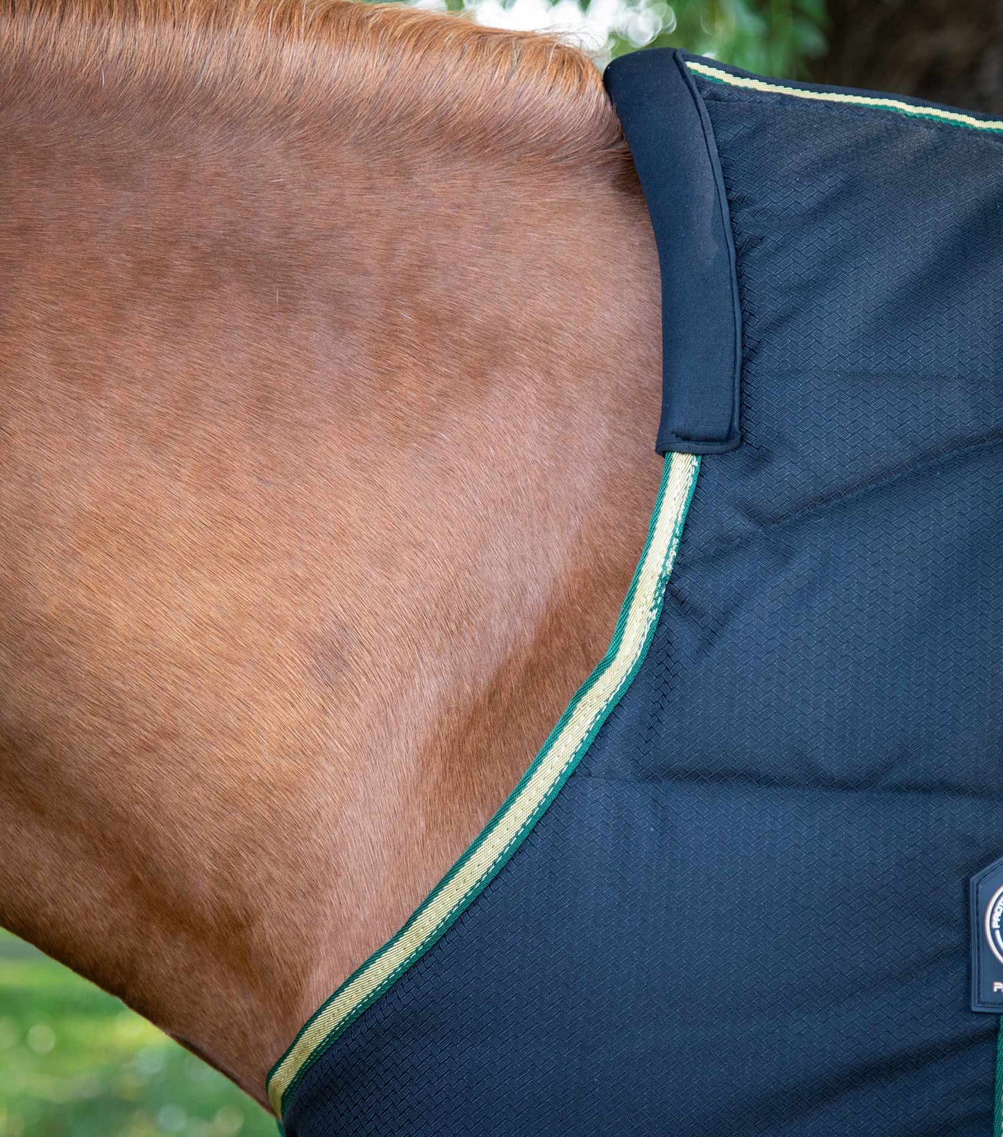 Couverture de box, Lucanta 450gr - Premier Equine