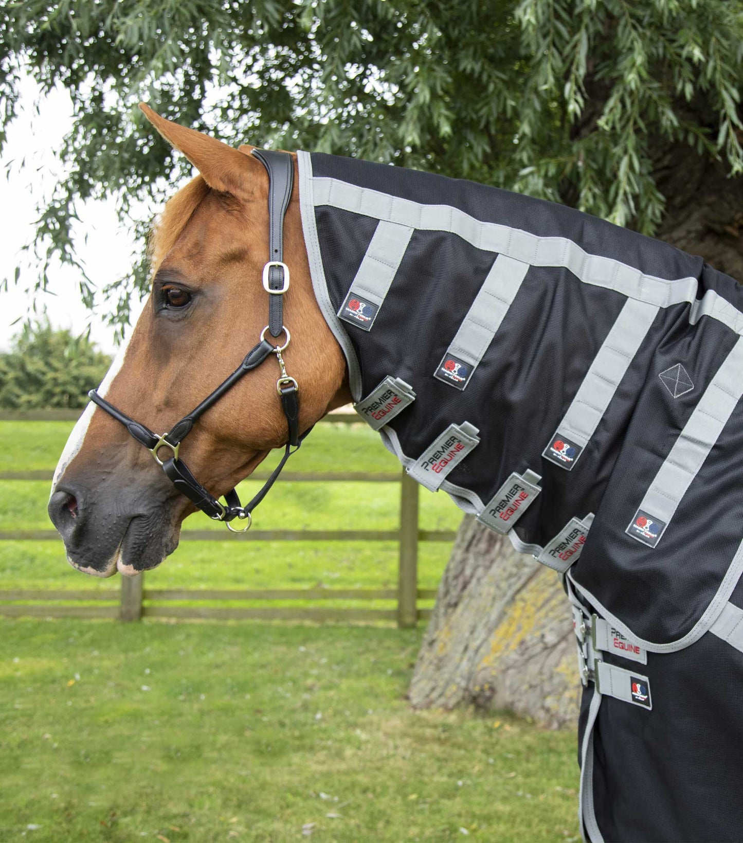 Couverture magnétique cheval - Premier Equine