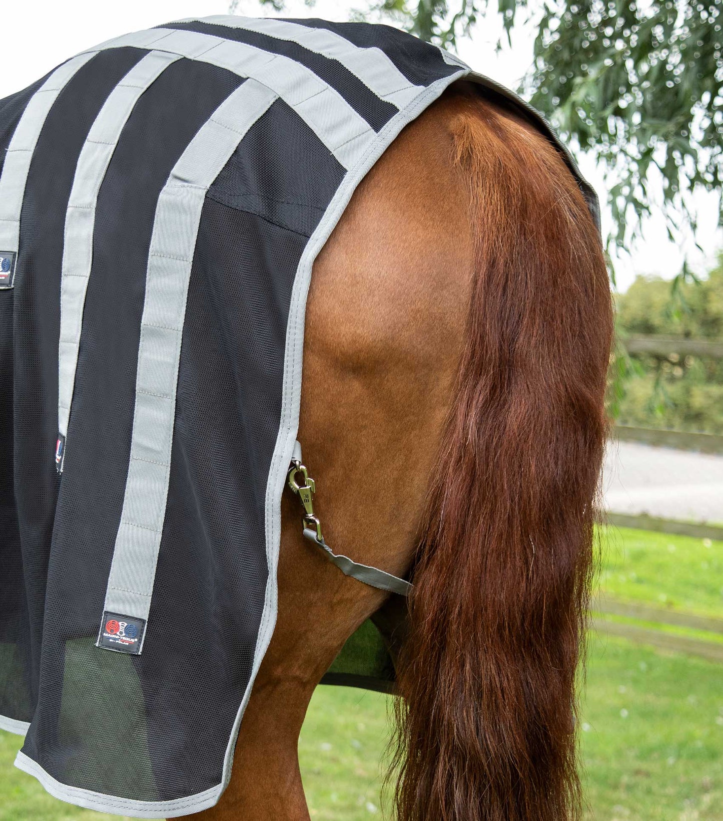 Couverture magnétique Equilibrium, sellerie Horse and Co, equipement du  cheval