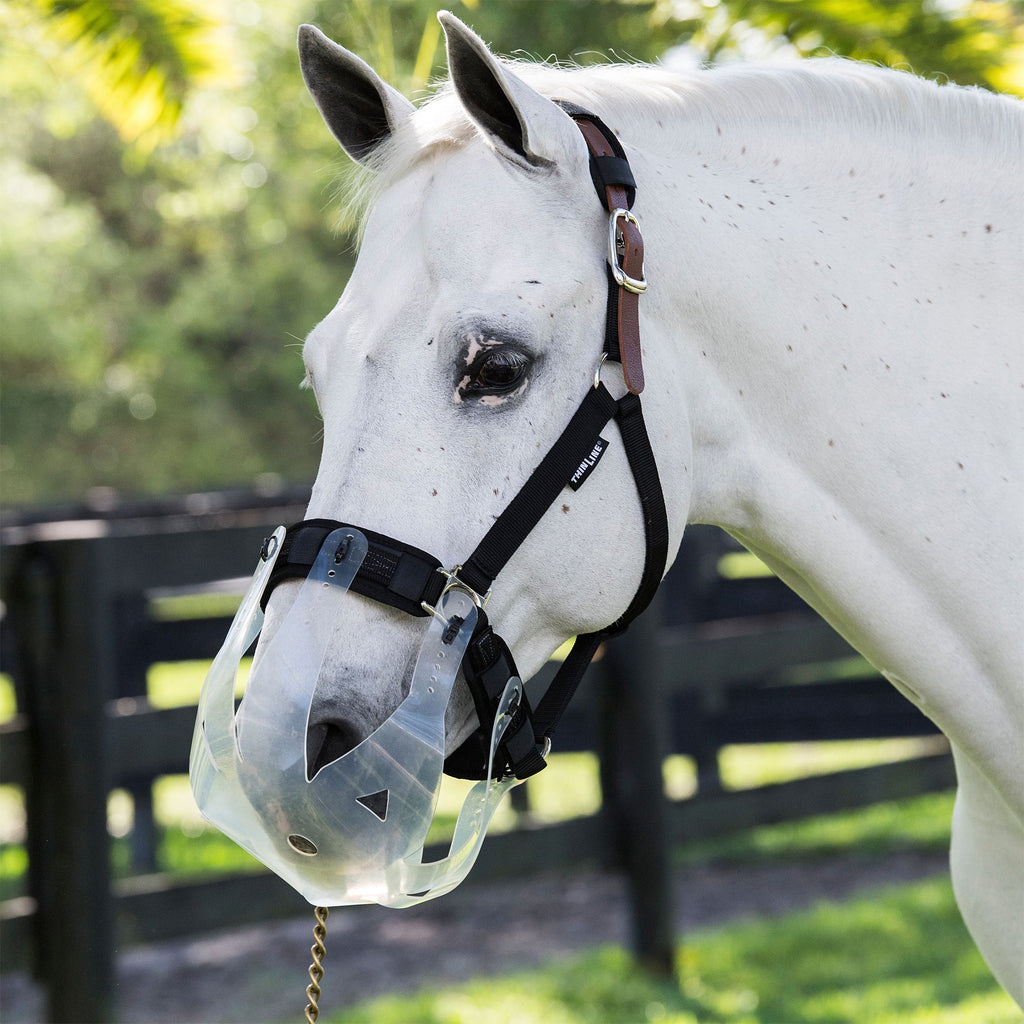 Museau De Pâturage Pour Chevaux Stylebest - Nylon Gaufré, Taille S/M/L Museau De Pâturage Pour Chevaux Stylebest - Nylon Gaufré, Taille S/M/L