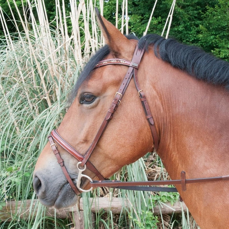 Bridon Strass et vernis - TDET