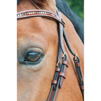 Bridon Strass et vernis - TDET