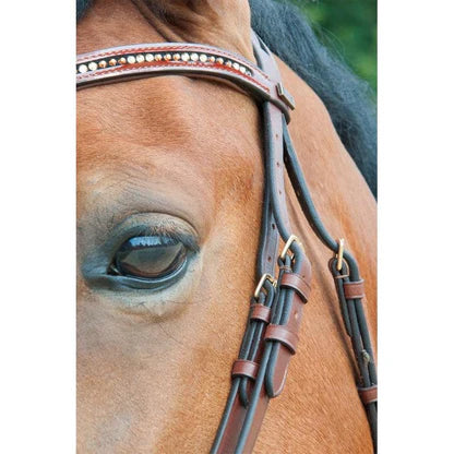 Bridon Strass et vernis, Havane - TDET