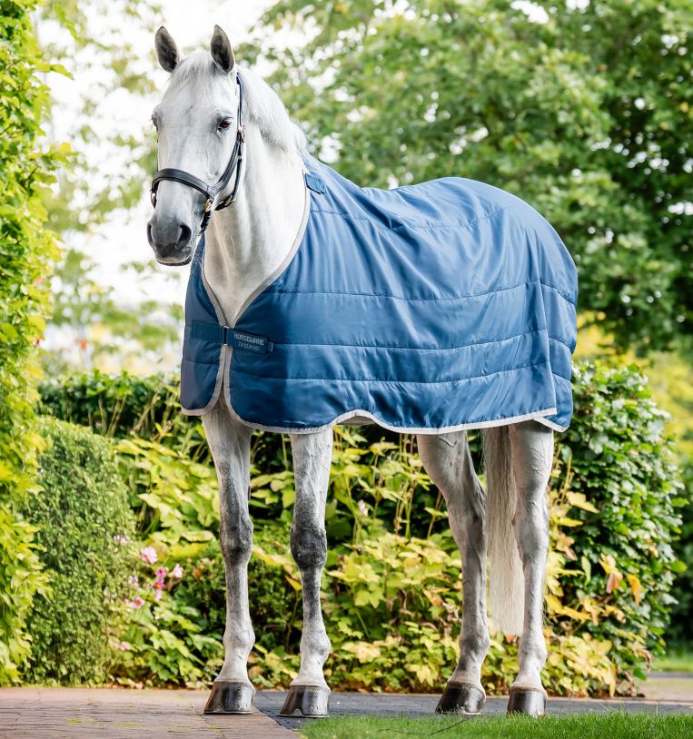 Ionic Therapy Liner - Horseware