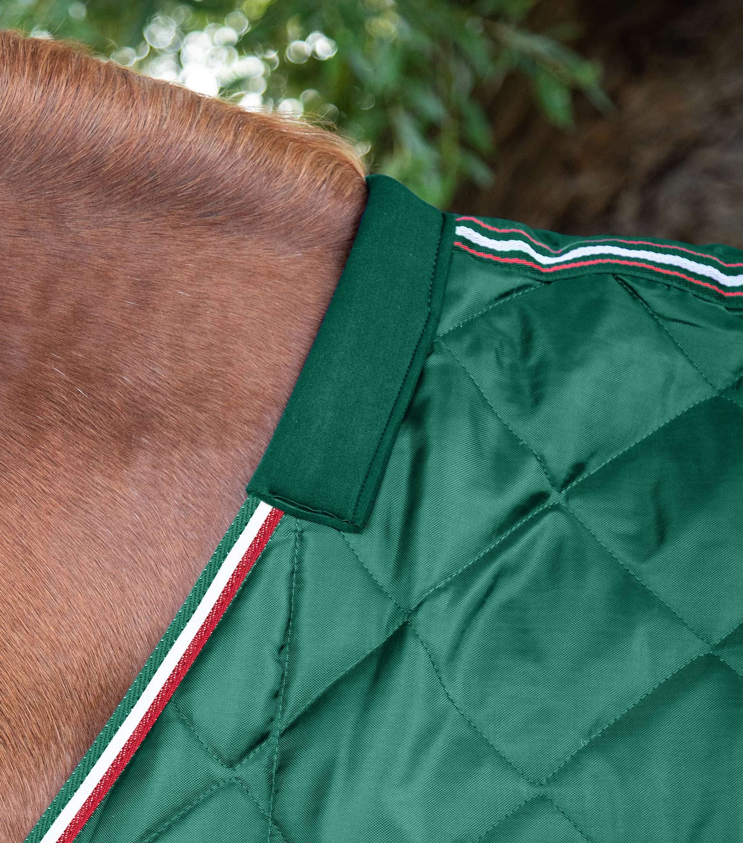 Couverture de box Tuscan 100gr - Premier Equine