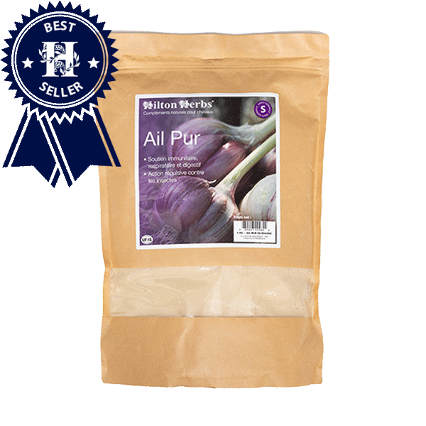 Ail pur en poudre, 1kg - Hilton Herbs
