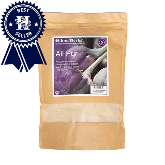 Pure Garlic Powder, 1kg - Hilton Herbs