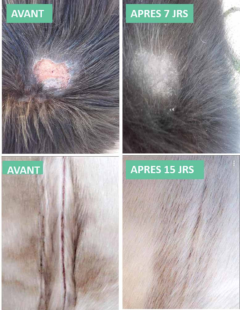 Skin repair balm - EKIN