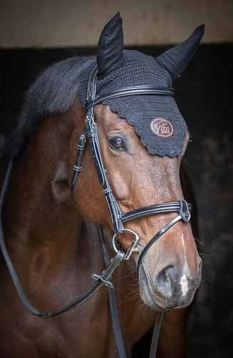 Bonnet Training Noir - Jump'In