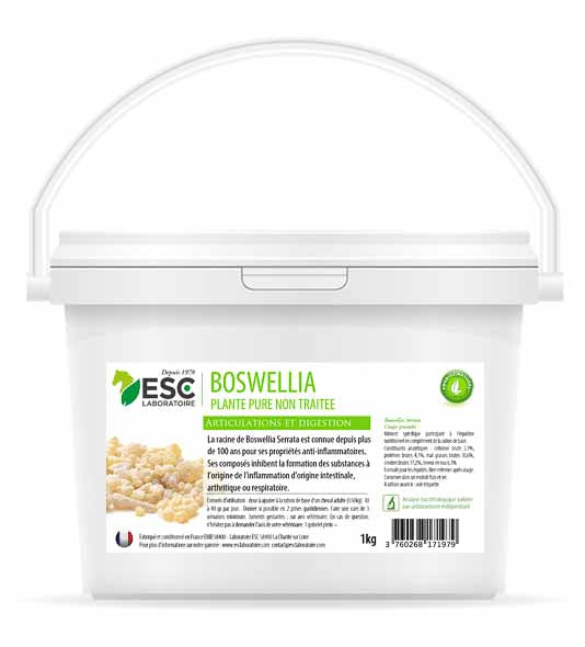 Boswellia Serrata, Inflammations articulaires et pulmonaires  - ESC Laboratoire