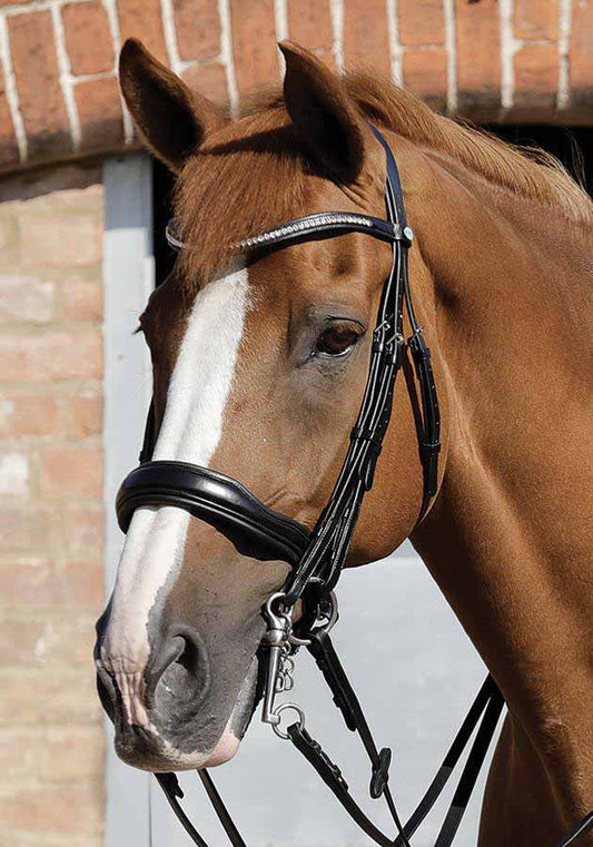 Abriano Anatomic Bridle, Black - Premier Equine