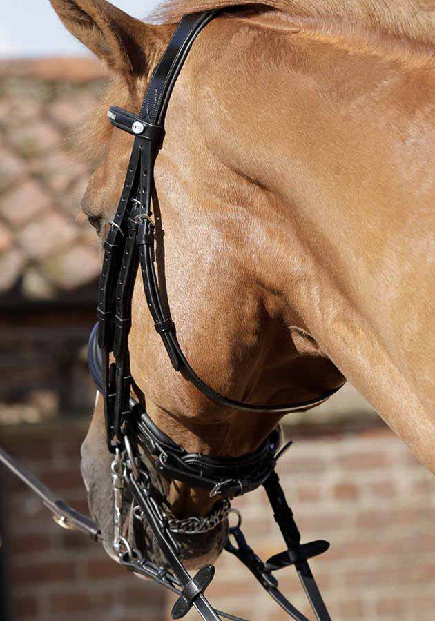 Bride anatomique Abriano, noir - Premier equine