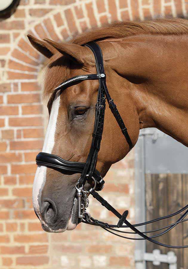 Bride anatomique Abriano, noir - Premier equine