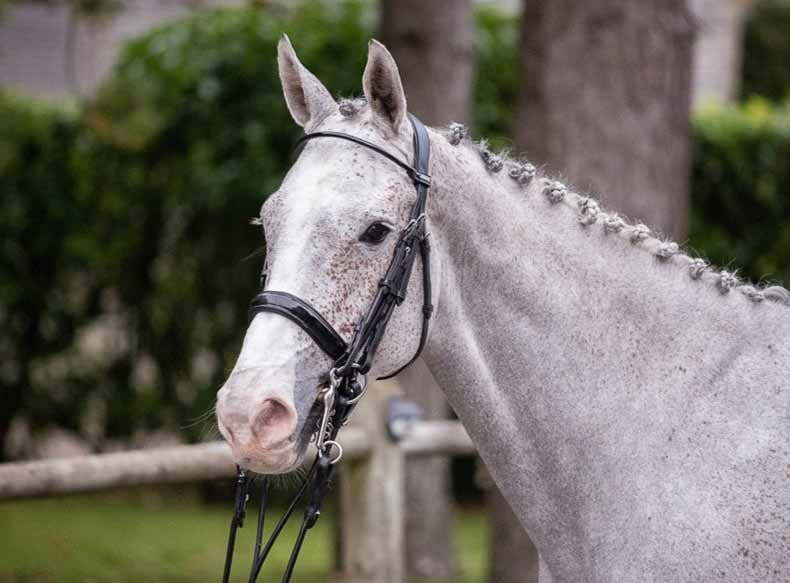Bride Courchevel, Collection one - Jump'in