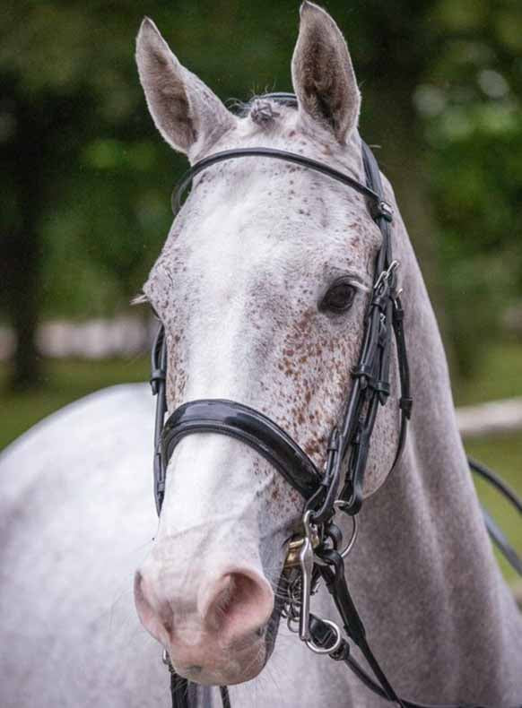 Bride Courchevel, Collection one - Jump'in