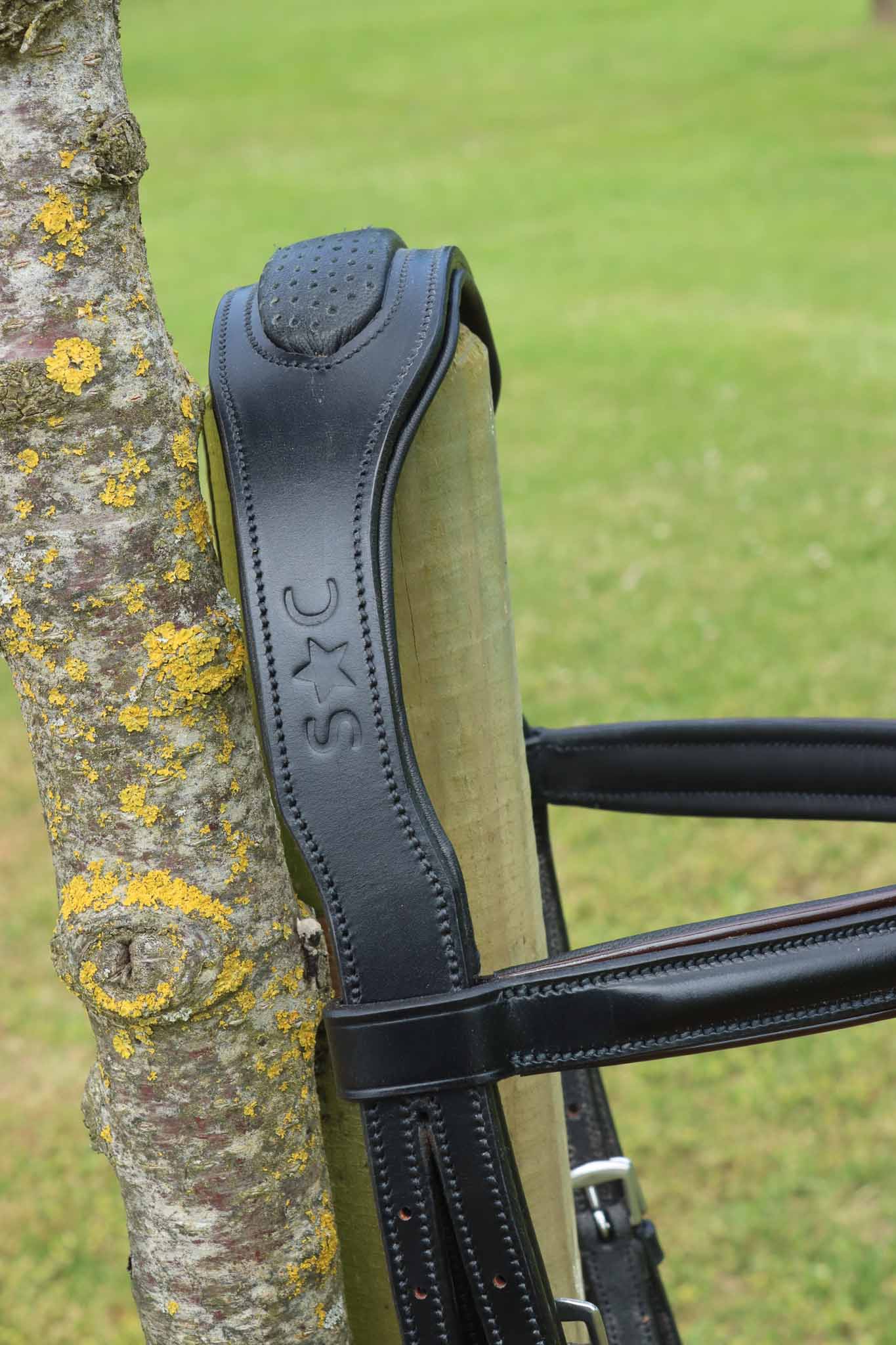 Dressage Bridle, Large Tour - Silver Crown