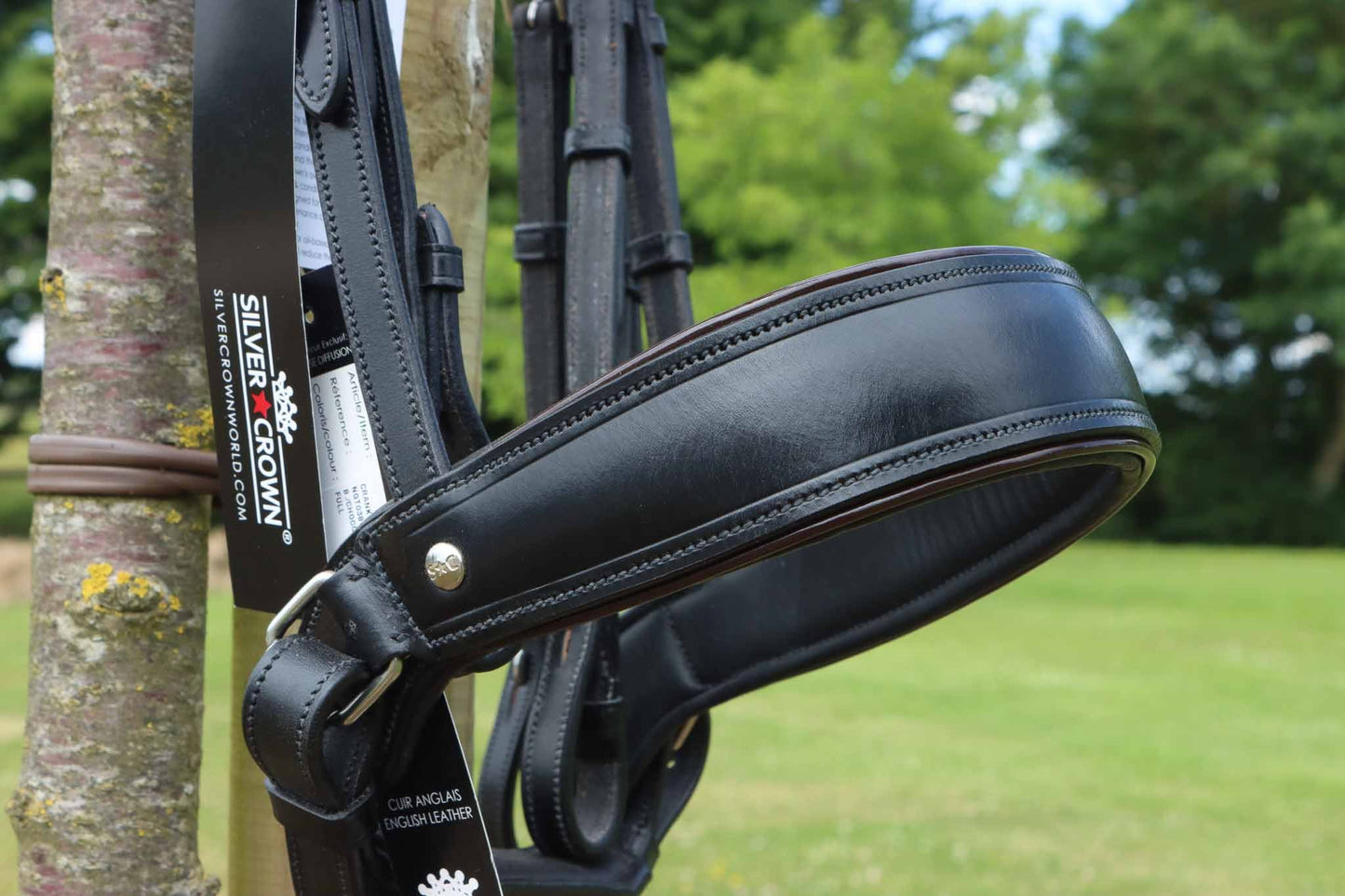 Dressage Bridle, Large Tour - Silver Crown
