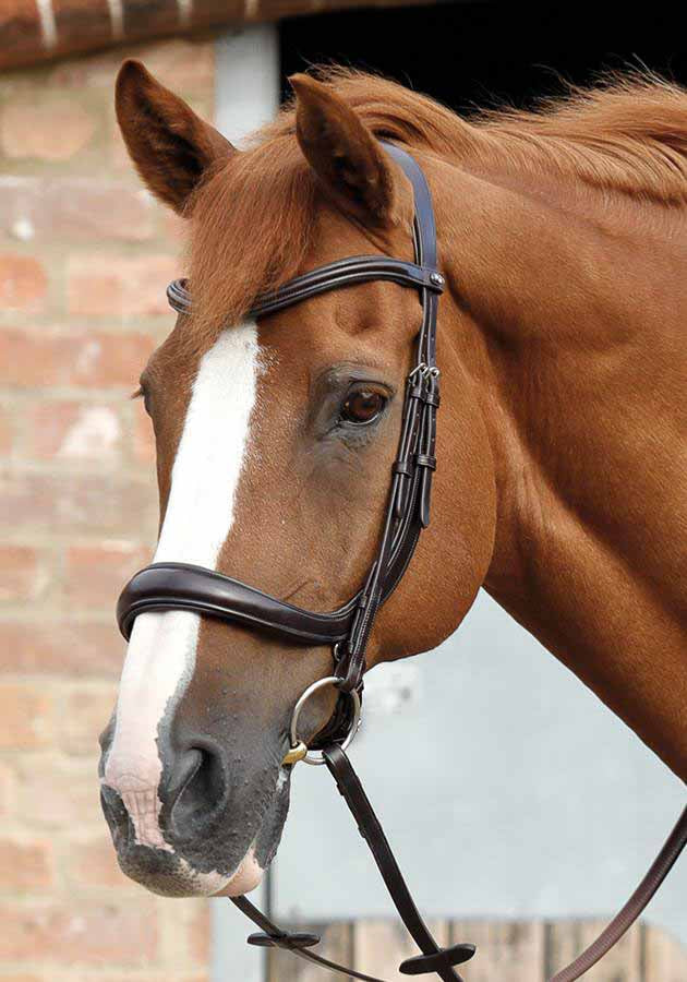 Lambro anatomischer Zaum - Premier Equine