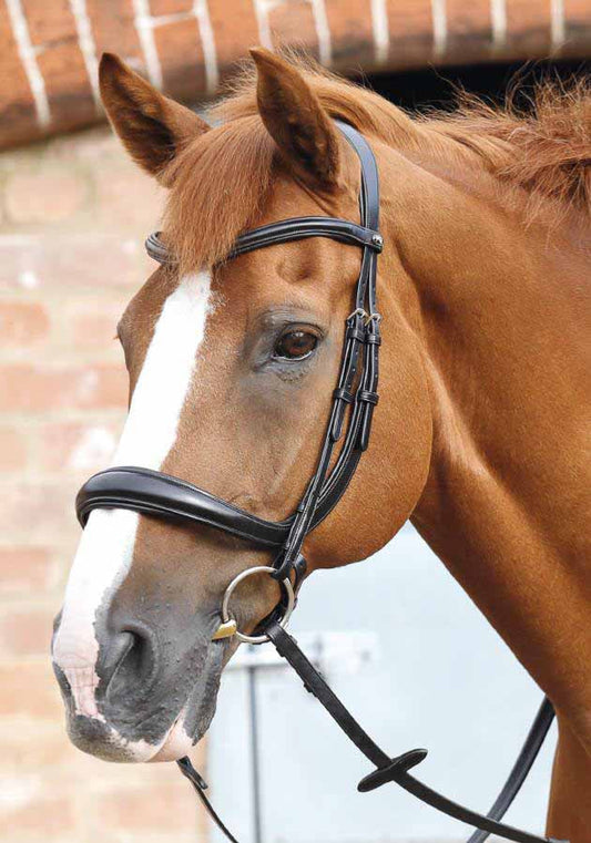 Bridon anatomique Lambro - Premier equine