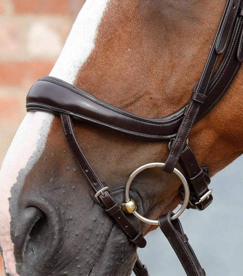 Bridon anatomique avec noseband - Premier Equine
