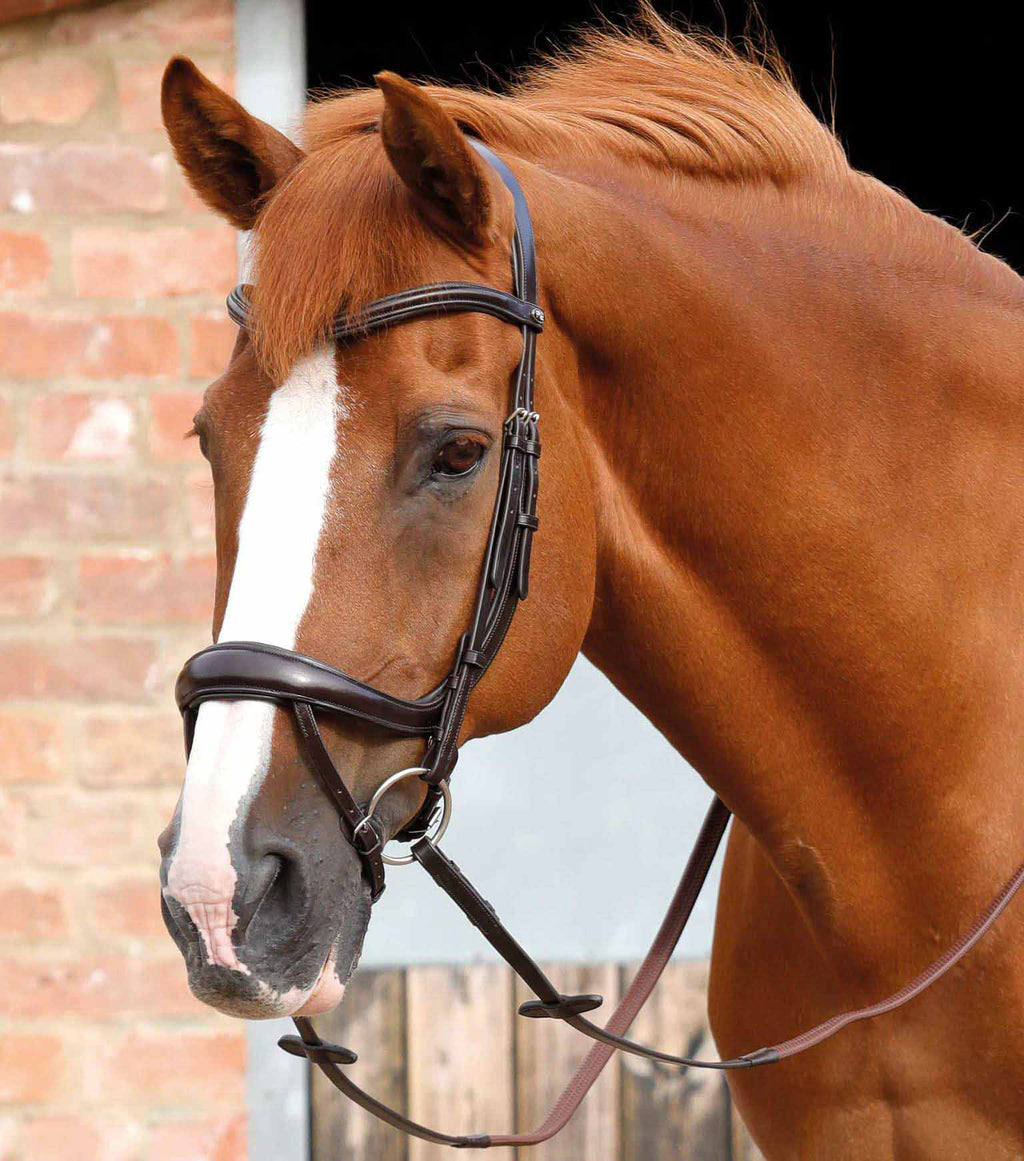 Bride pour cheval : anatomique, en cuir, pour du dressage Bride pour cheval : anatomique, en cuir, pour du dressage