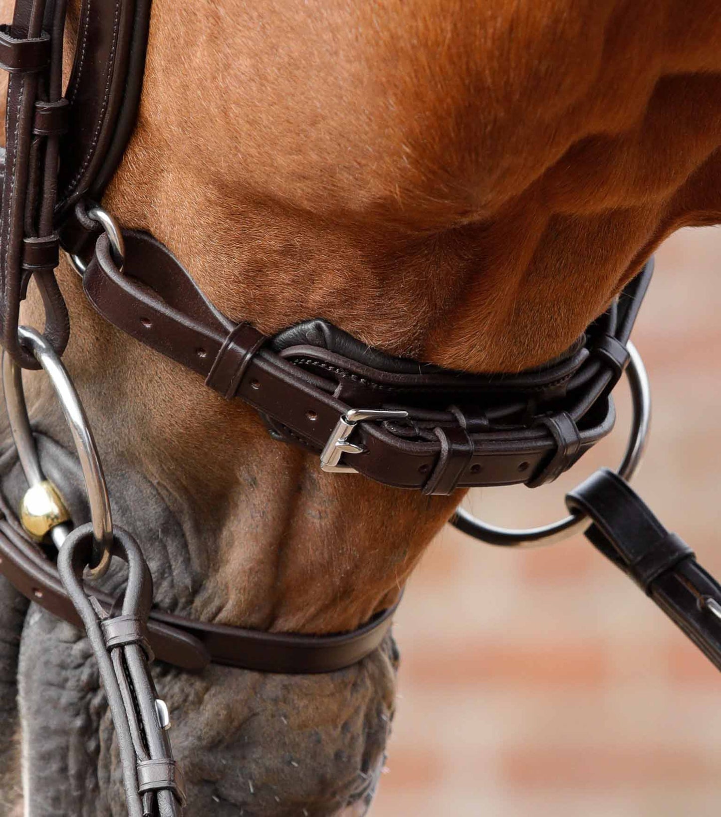 Bridon anatomique avec noseband - Premier Equine